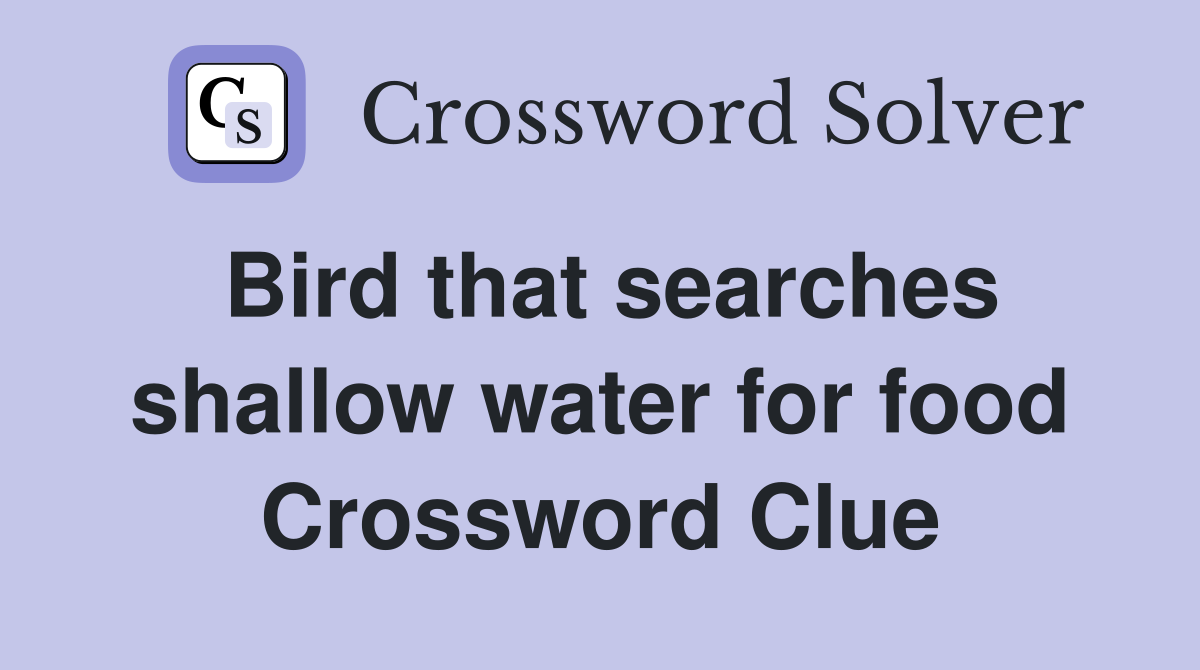 Bird that searches shallow water for food Crossword Clue Answers